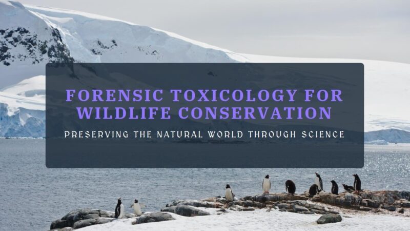 Role of Forensic Toxicology in Wildlife Conservation
