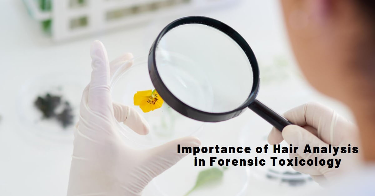 Role of Hair Analysis in Forensic Toxicology