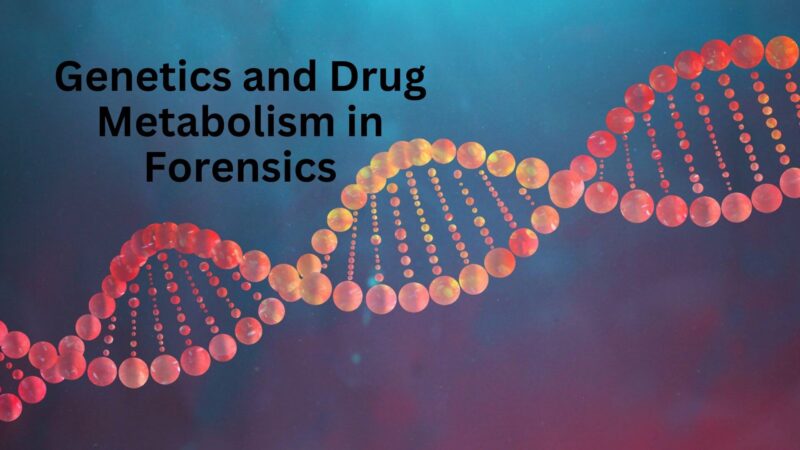 Influence of Genetics on Drug Metabolism in Forensic Cases