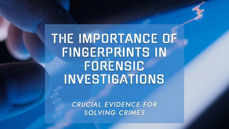 Role of Fingerprints in Forensic Investigations