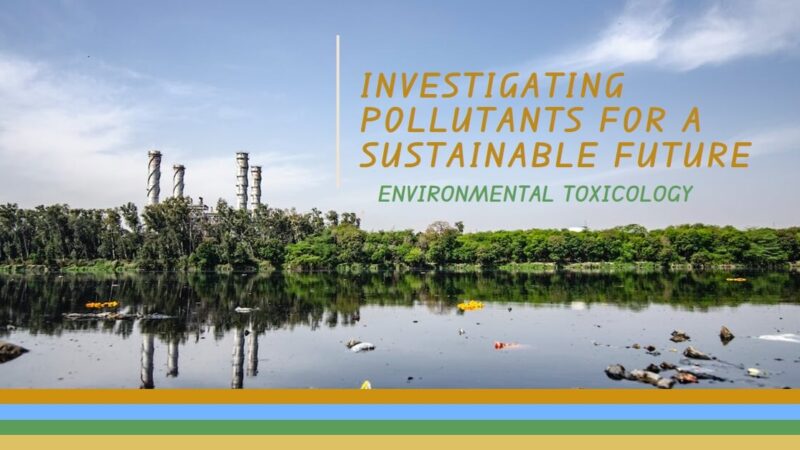 Environmental Toxicology: Investigating Pollutants for a Sustainable Future