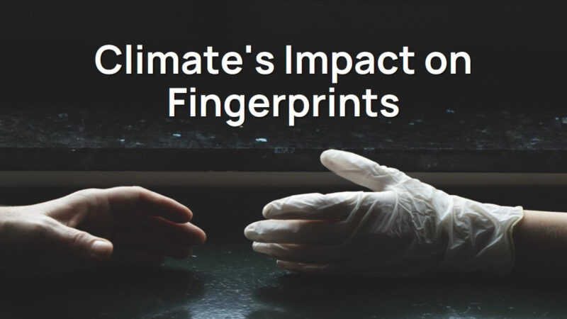 Influence of Climate on Fingerprints Formation