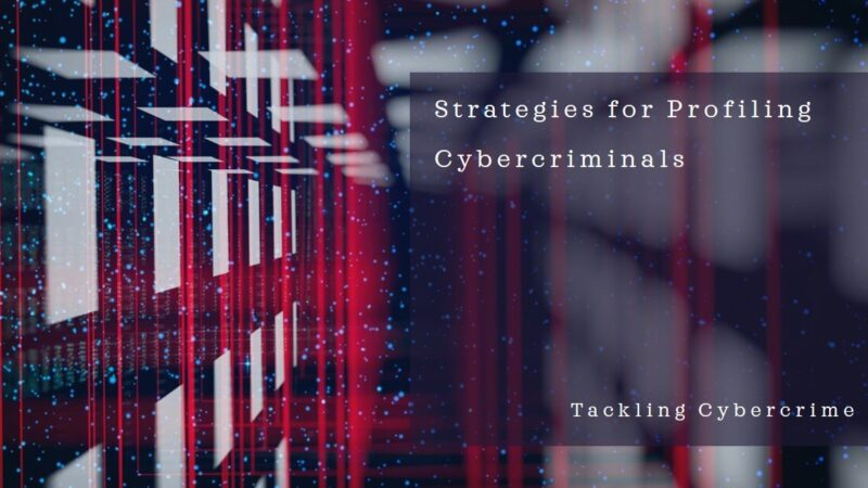 Profiling Cybercriminals: Challenges and Strategies