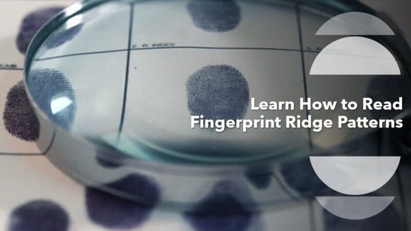 How to Read Fingerprint Ridge Patterns?