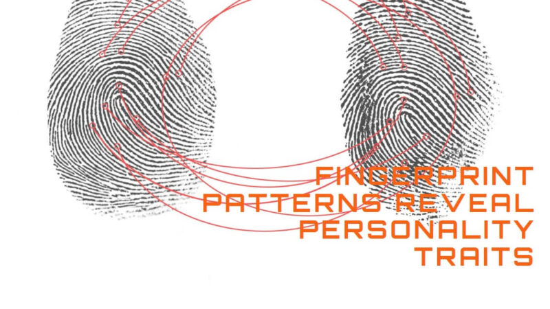 Intriguing Connection Between Fingerprint Patterns and Personality Traits