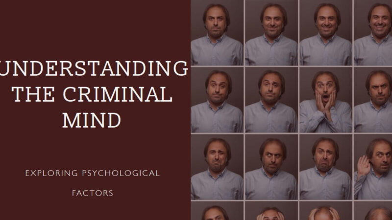 Psychological Factors in Offender Profiling
