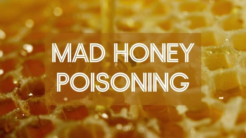 Mad Honey Poisoning: Symptoms and Treatment